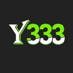 Y333 Game